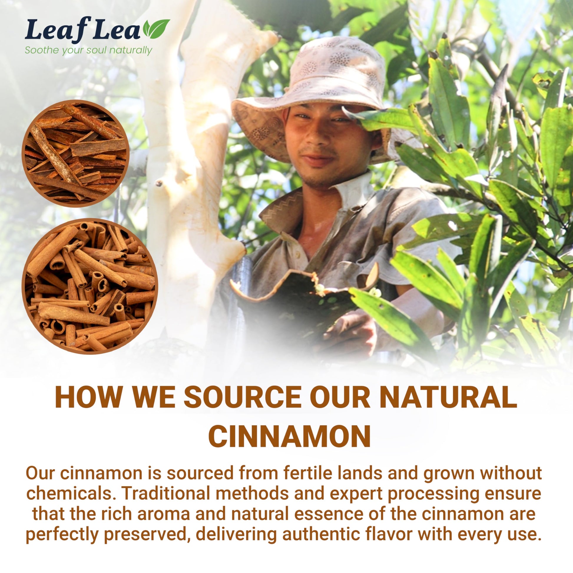 LeafLea 40 Turmeric Ginger Cinnamon Tea Bags