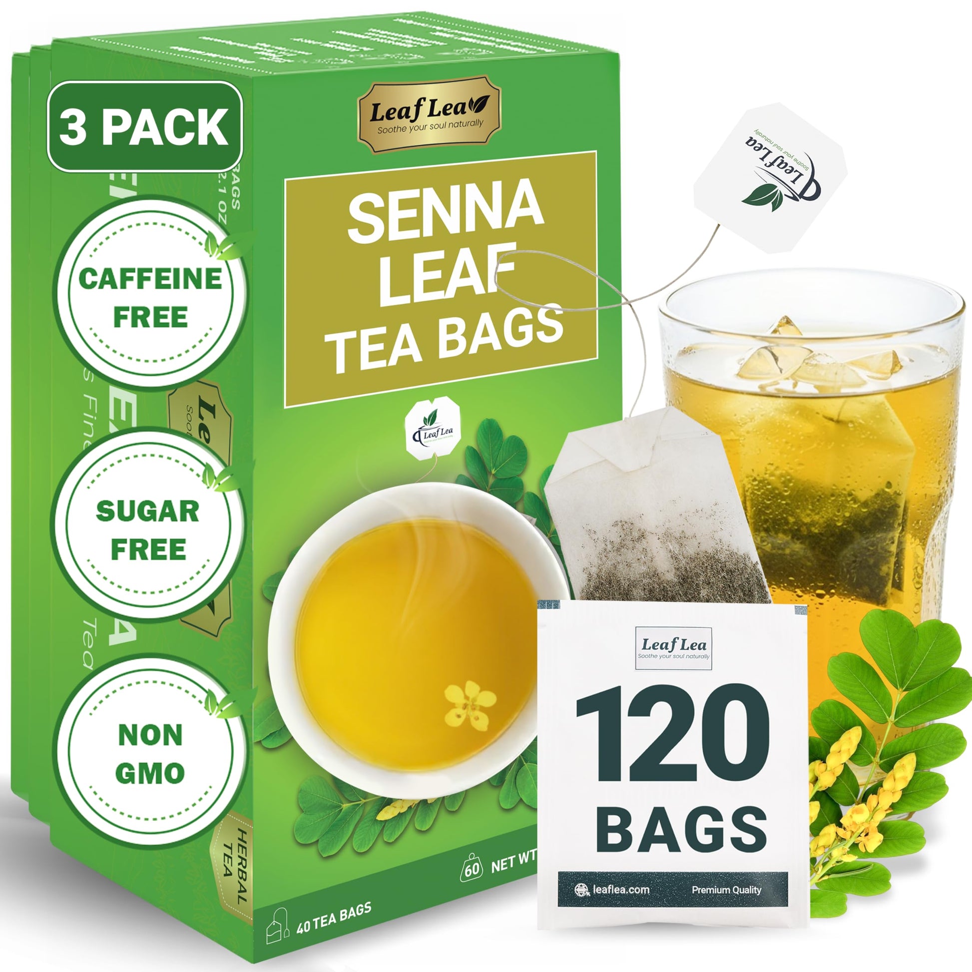 LeafLea 40 Turmeric Ginger Cinnamon Tea Bags