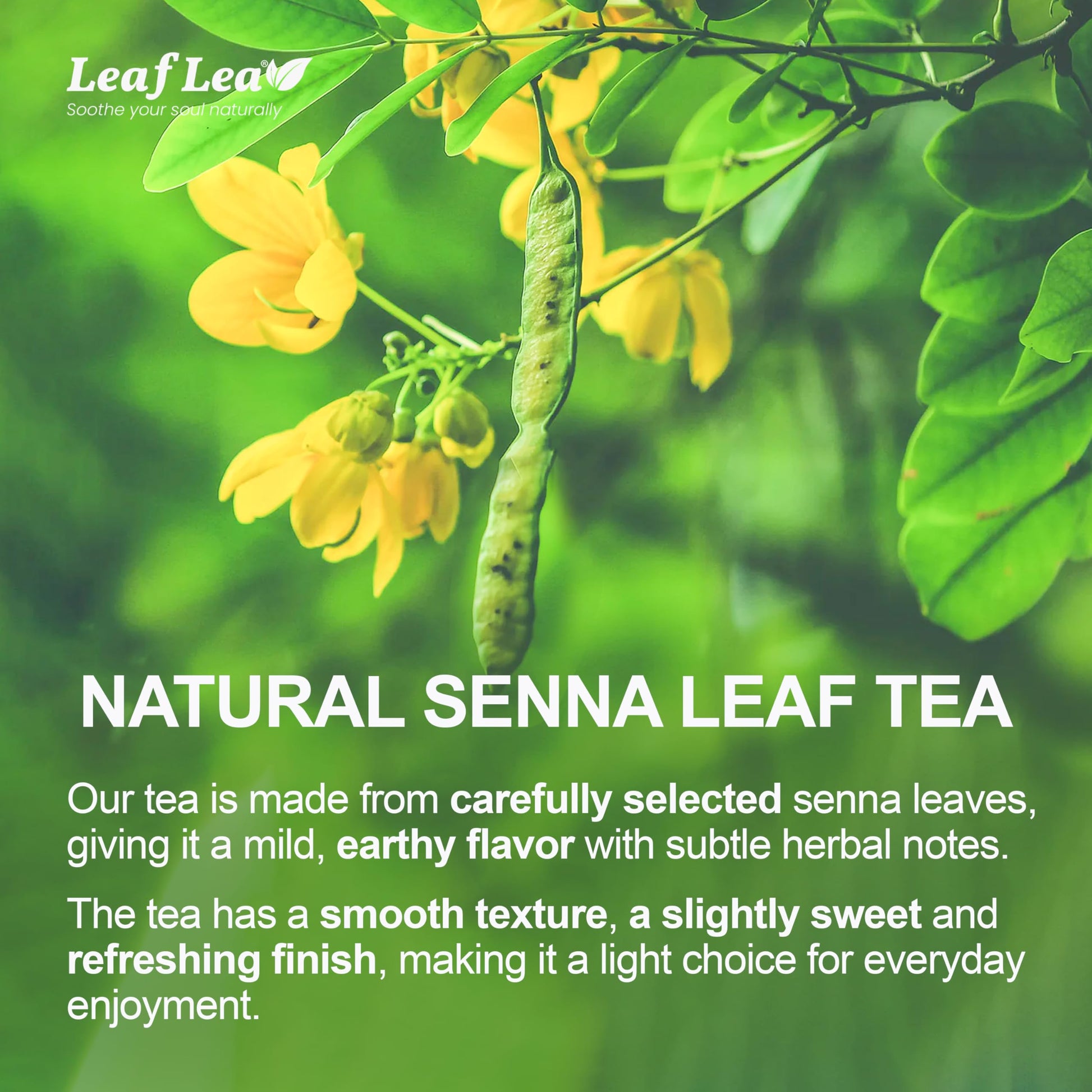 LeafLea 40 Turmeric Ginger Cinnamon Tea Bags