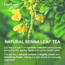 LeafLea 40 Turmeric Ginger Cinnamon Tea Bags