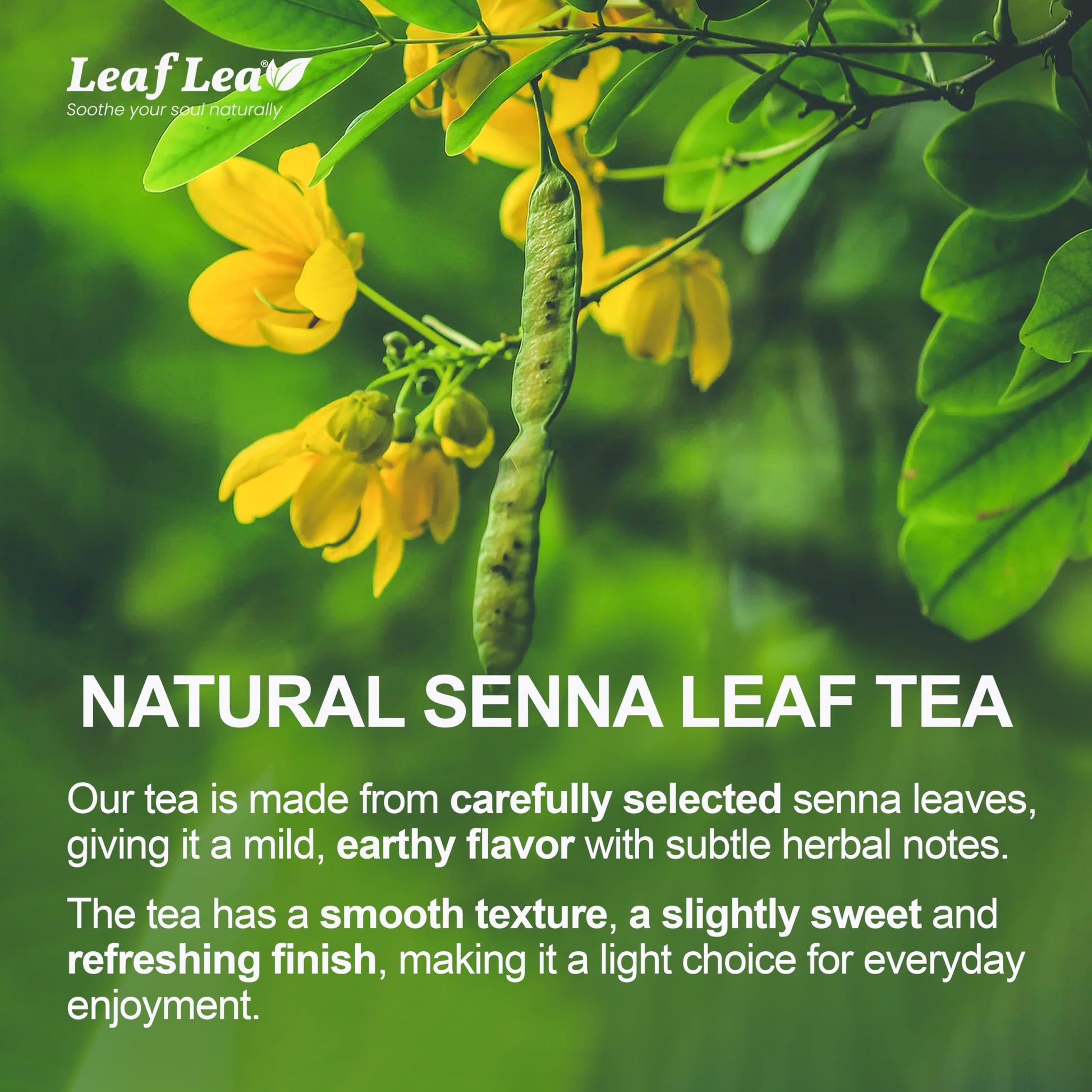 LeafLea 40 Turmeric Ginger Cinnamon Tea Bags