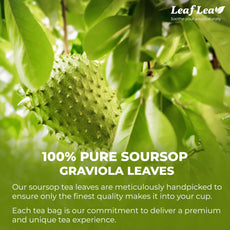 LeafLea 40 Turmeric Ginger Cinnamon Tea Bags