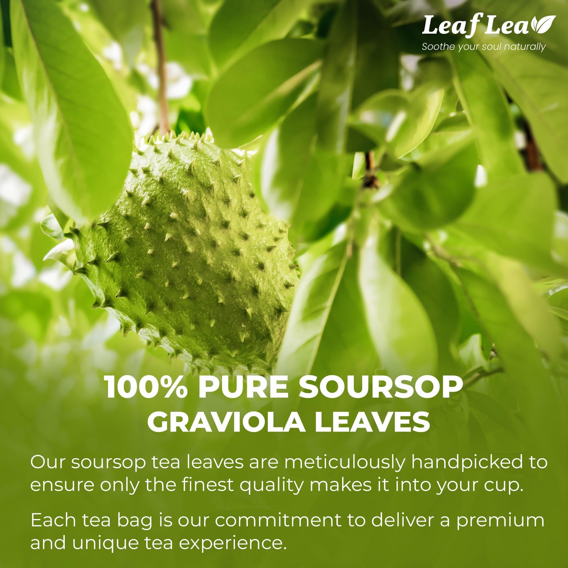 LeafLea 40 Turmeric Ginger Cinnamon Tea Bags