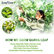 LeafLea 40 Turmeric Ginger Cinnamon Tea Bags