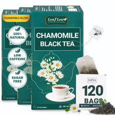 LeafLea 40 Turmeric Ginger Cinnamon Tea Bags