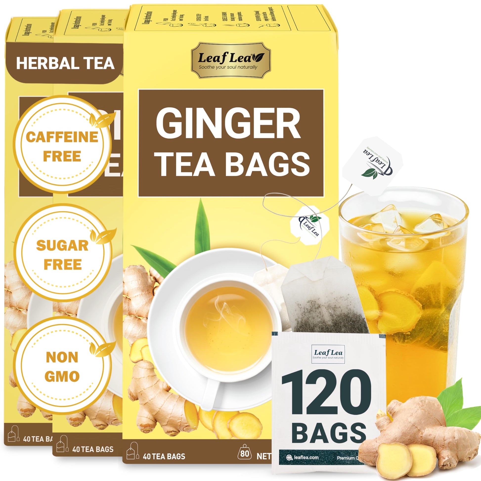 LeafLea 40 Turmeric Ginger Cinnamon Tea Bags