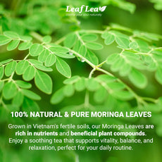 LeafLea 40 Turmeric Ginger Cinnamon Tea Bags