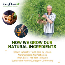 LeafLea 40 Turmeric Ginger Cinnamon Tea Bags