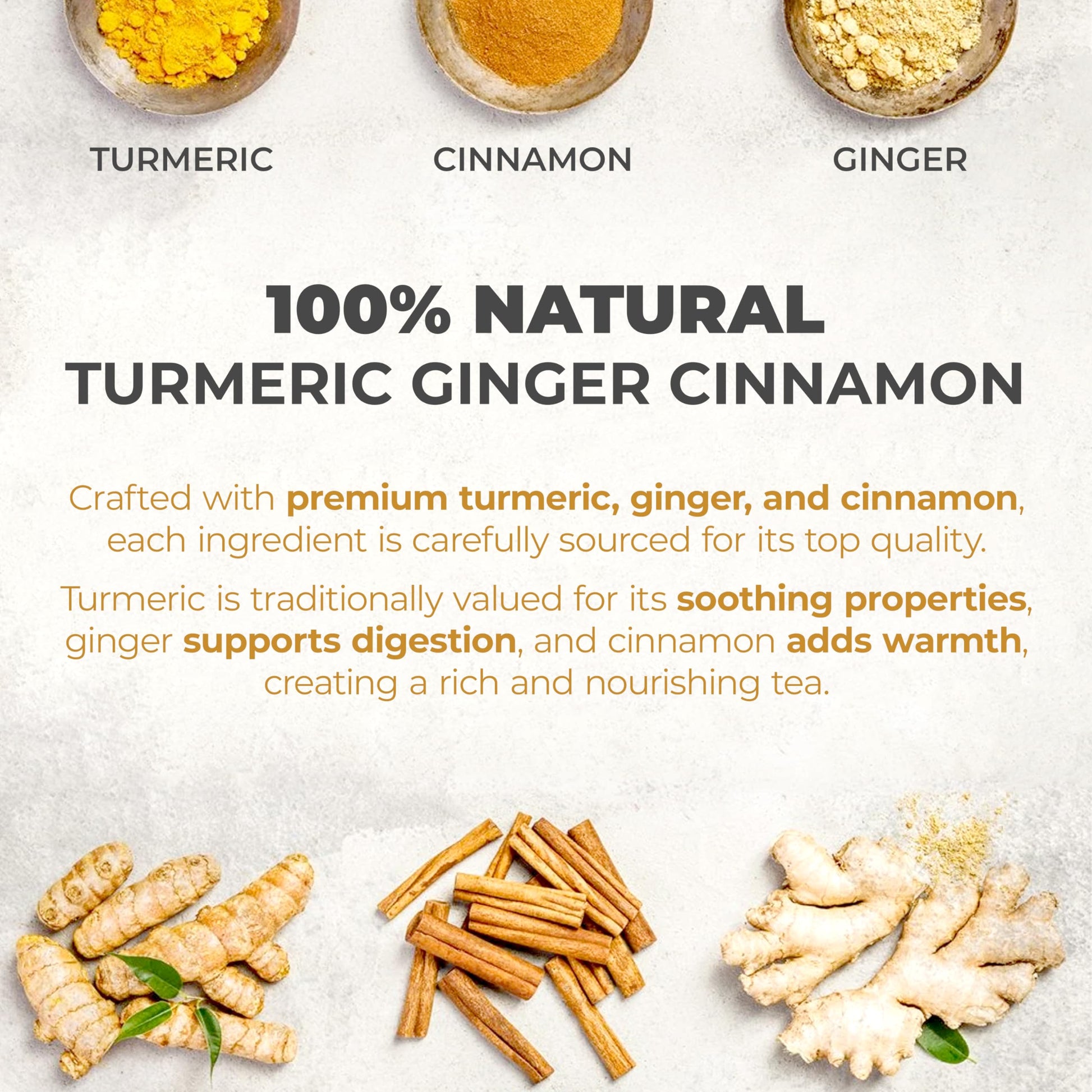 LeafLea 40 Turmeric Ginger Cinnamon Tea Bags