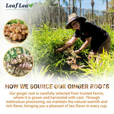 LeafLea 40 Turmeric Ginger Cinnamon Tea Bags