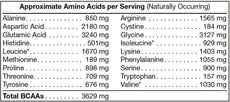Pure Plant Protein Chocolate