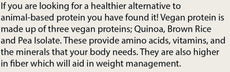 Pure Plant Protein Chocolate